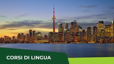 TORONTO EXPERIENCE
